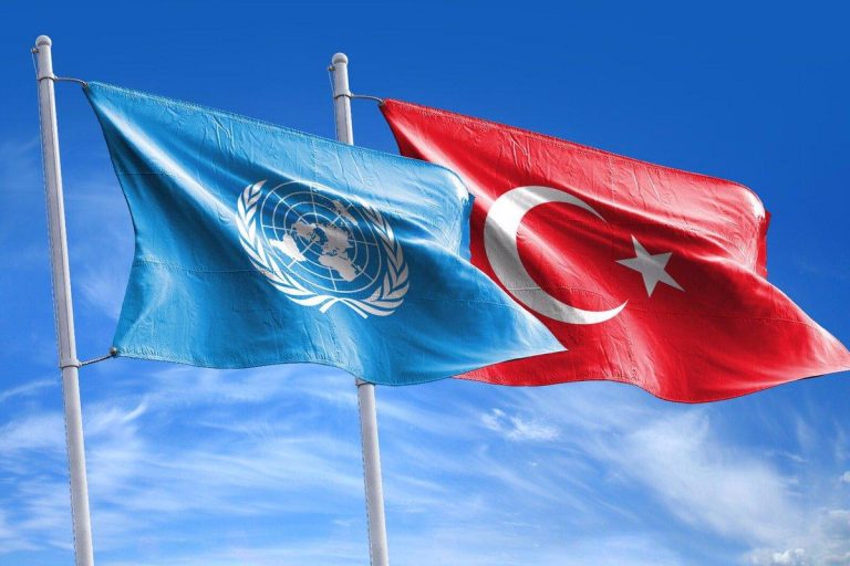 BİRLEŞMİŞ MİLLETLER İNSAN HAKLARI KOMİTESİ KARARLARININ BAĞLAYICILIĞI VE İNFAZI