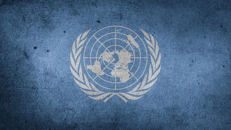 BM’NİN MUKADDER ALAKUŞ KARARINA DAYANILARAK HAZIRLANAN DİLEKÇE ÖRNEĞİ